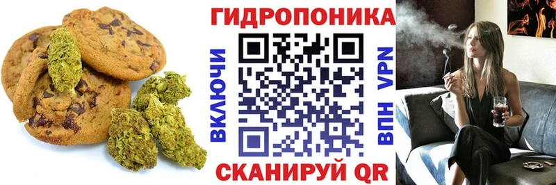 как найти Нерчинск Canna-Cookies конопля