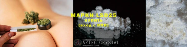 ECSTASY Алзамай