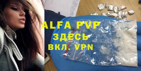 хмурый Алексин