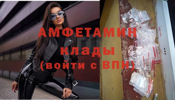 ECSTASY Алзамай