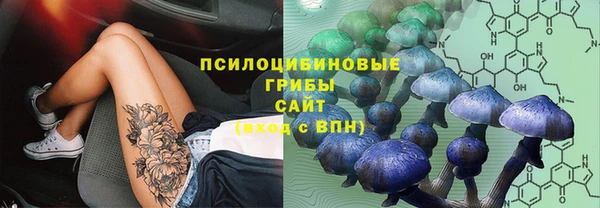 хмурый Алексин