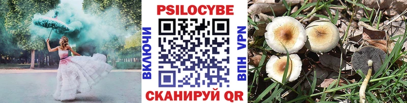 Псилоцибиновые грибы MAGIC MUSHROOMS  Нерчинск 